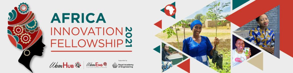 africa innovation fellowship
