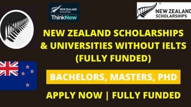 Photo of Fully Funded Scholarships  in New Zealand Without IELTS