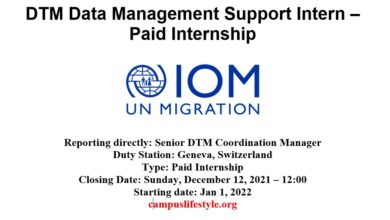 Photo of DTM Data Management Support Intern – Paid Internship