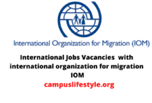 Photo of International Jobs Vacancies with international organization for migration IOM