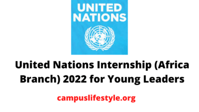 Photo of United Nations Internship (Africa Branch) 2022 for Young Leaders