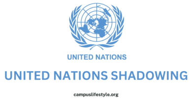 Photo of  UNITED NATIONS SHADOWING Programme In Vienna Austria, Applications invited
