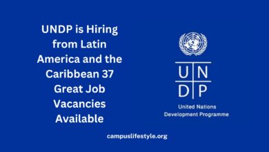 Photo of UNDP is Hiring from Latin America and the Caribbean 37 Great Job Vacancies Available