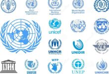 UN Agencies Are Hiring Across Multiple Locations — Apply for Jobs in 2025 into 2026