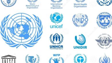 UN Agencies Are Hiring Across Multiple Locations — Apply for Jobs in 2025 into 2026