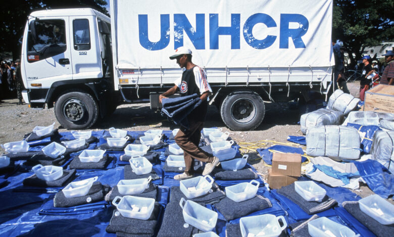 UNHCR is Hiring Home-based Oppotunity Peer to Peer Education Consultant Job. Apply Now for 2025