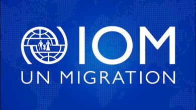 IOM is Hiring a Remote Consultant with a Salary of USD 8000 per Month. Apply Now for 2025