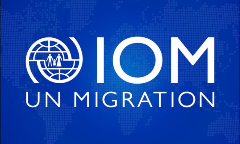  IOM is Hiring a Remote Consultant with a Salary of USD 8000 per Month. Apply Now for 2025