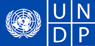 UNDP is Hiring Home-Based Internship Programme for 2025. Apply Now