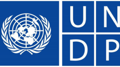 UNDP is Hiring Volunteering Opportunities Open Roles/ Online Application. Apply Now for 2025