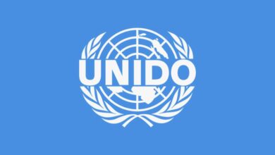 UNIDO is Hiring Home-Based Consultant Job. Apply Now for 2025