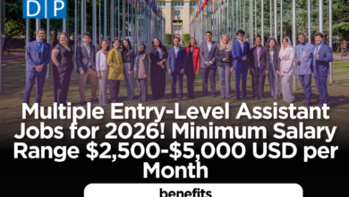 UNDP is Hiring Multiple Entry-Level Assistant Jobs for 2026! Minimum Salary Range $2,500-$5,000 USD per Month