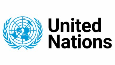 The United Nations (UN) is Hiring Multiple Consultant Jobs for 2026. Apply Now