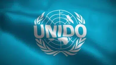 UNIDO Is Hiring x10 Entry-level Jobs for 2026. Apply Now