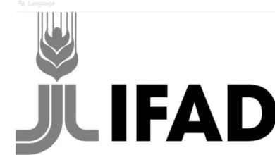 IFAD Is Hiring Internship Programme for 2026. Apply Now