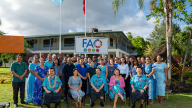 FAO Internship Programme Job with Salary of USD 600 – 700 per Month. Apply Now for 2026