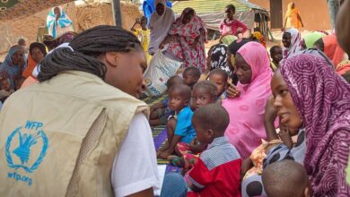 World Food Programme (WFP) Is Hiring x16 Internship Jobs with Salary of US$1,000 per Month. Apply Now