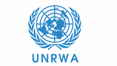 UNRWA Consultant Assistant Job with Salary of USD 1,350 – 1,450 per Month. Apply Now for 2026