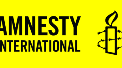 Amnesty International Research Consultant 2026 – Remote Human Rights Investigation in Iran