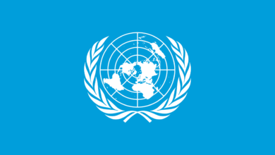 UNEP Finance Assistant 2026 in Nairobi – UN finance and budgeting job opportunity