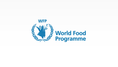 WFP Remote Jobs 2026 concept showing global professionals working remotely for the United Nations World Food Programme in IT, data, and consultancy roles.