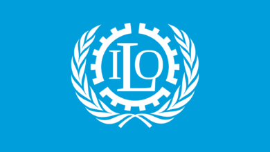 Administrative professional working in a United Nations office environment representing the ILO Senior Administrative Assistant Job 2026 – High-Level UN Career Opportunity in Geneva, Switzerland.