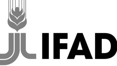 IFAD Internship Programme 2026 opportunity banner highlighting United Nations career in rural development and global agriculture