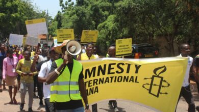 Website Engineer Consultant working remotely for Amnesty International on human rights advocacy platforms.