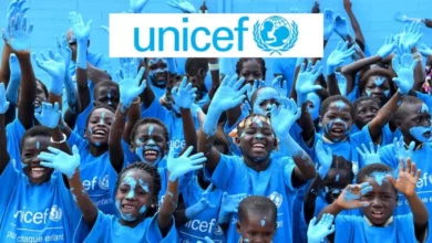 Young professional working in a modern office representing UNICEF Internship Job 2026 – Office of the Executive Director (OED) with Salary of $1,700 to $2,700 per month in New York