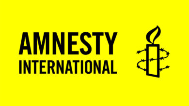 Amnesty International Assistant Job 2026 career opportunity announcement showing global NGO work in administration, finance, and human rights support roles