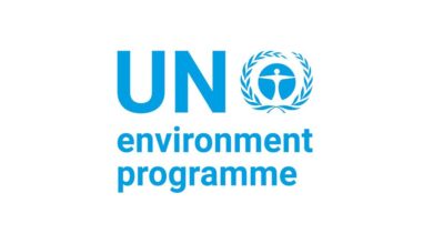 UNEP Assistant Internship Job 2026 in Paris – Communications and Project Management Intern working on environmental projects