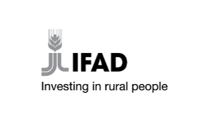 IFAD Internship Programme 2026 announcement showing students and graduates exploring global United Nations career opportunities in rural development and agriculture.