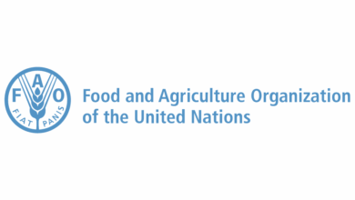 FAO Internship Programme 2026 at FAO Headquarters in Rome, offering international opportunities for students and recent graduates in sustainable agriculture and food security.