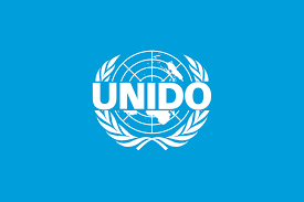 UNIDO Home-Based Consultancy Job 2026 announcement highlighting remote senior specialist role in industrial parks governance and institutional frameworks