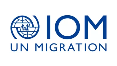 Student analyzing migration data on a laptop during the IOM Internship Job 2026, focusing on reporting and route-based research in the United Kingdom