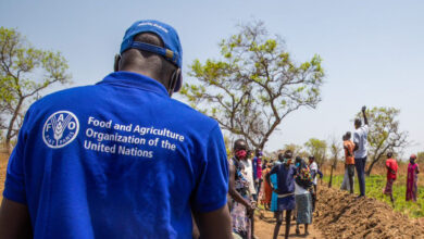 FAO Remote Consultant Job 2026 home-based UN opportunity for experts in agriculture, climate change, and environmental project design working with FAO and global partners.