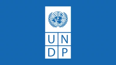 UNDP Home-Based Job 2026 – Project Analyst (IPSA-8) remote UN opportunity offering work-from-home flexibility with monthly salary range of USD $3,500–$5,800 in New York-based international development operations