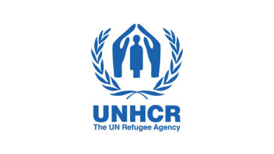 UNHCR Communications Assistant working on a laptop with refugee advocacy materials, representing UNHCR Assistant Job 2026