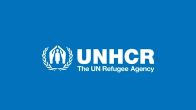 UNHCR Internship Job 2026 application opportunity for students and graduates seeking careers in humanitarian work with the United Nations Refugee Agency