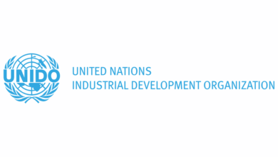 UNIDO Is Hiring Consultant Job 2026 announcement for international development career opportunity in Vienna Austria
