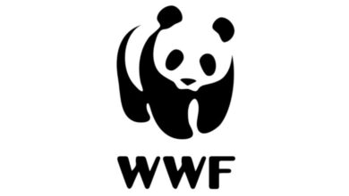 WWF Senior Assistant Job 2026 with $4,500–$5,100 monthly salary offering administrative and conservation career opportunity in Washington DC at World Wildlife Fund