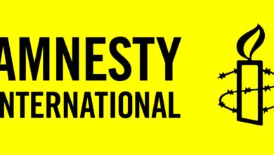 Amnesty Entry-Level Jobs 2026 listing global paid human rights career opportunities for graduates and young professionals in NGO sector vacancies