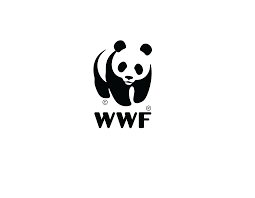 WWF Internship Job 2026 opportunity for students and graduates interested in global conservation and environmental careers