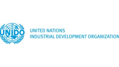 UNIDO Home-Based Consultant Job 2026 international scrap and waste materials inspection expert role focused on metal and plastic waste compliance and environmental safety standards