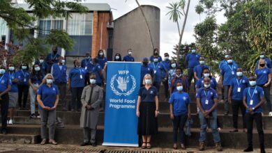 WFP Multiple Assistant Jobs 2026 – Apply Now for High-Paying United Nations Careers, candidate applying online for World Food Programme assistant roles using a laptop