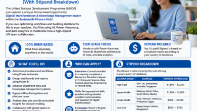 Paid Remote Career Guide: The UNDP Remote Digital Internship (With Stipend Breakdown)